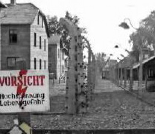 Auschwitz & Krakow Tour