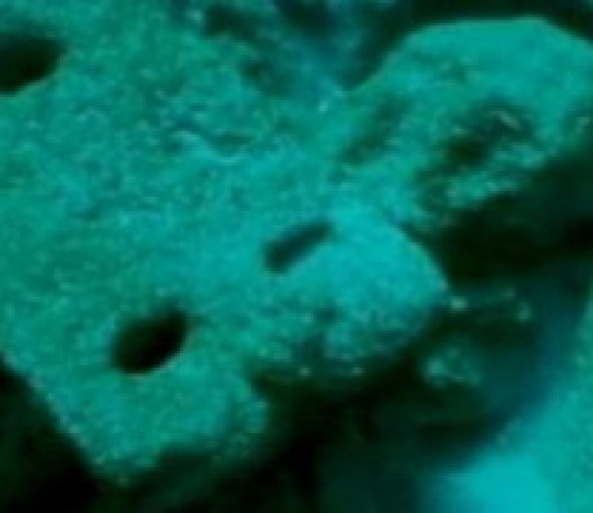 Undersea Roman Town Draws Divers
