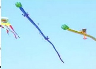 Kite runners' big China fest