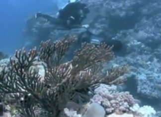 Explore Great Barrier Reef... with Google