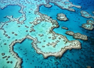 The Great Barrier Reef - World Heritage Site in Danger